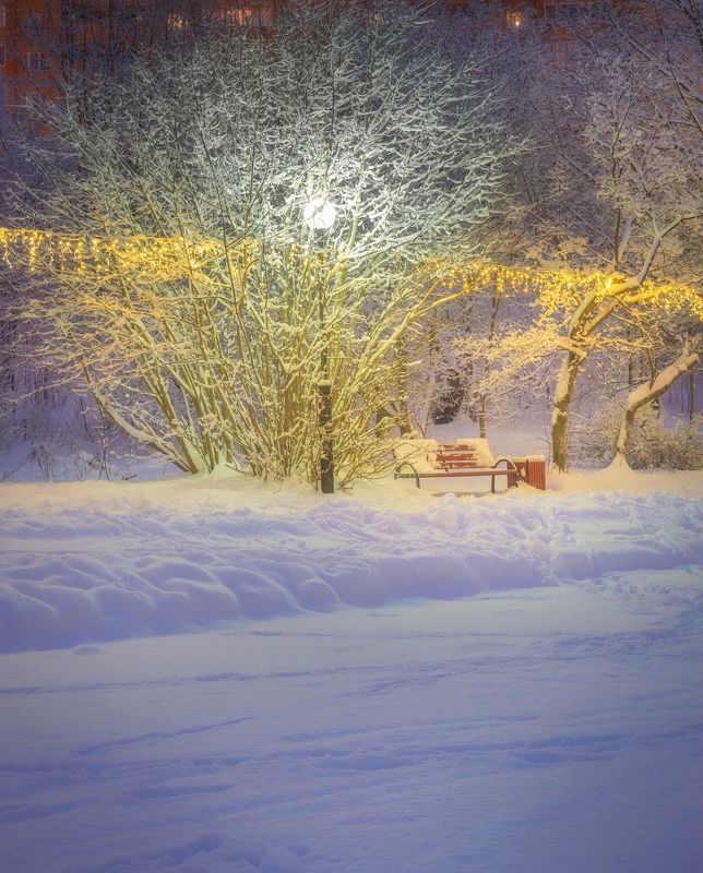 красногорск Зимкий парк IIIphoto preview