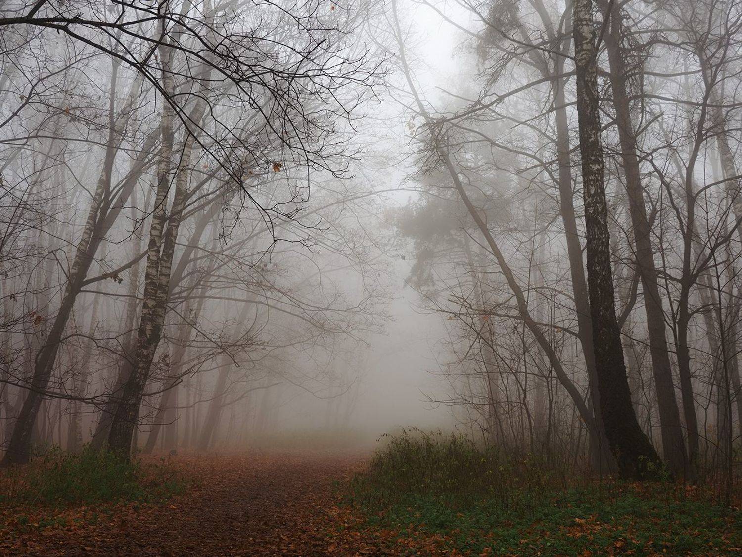 Автор: Сергей Духанин , Сергей Духанин
