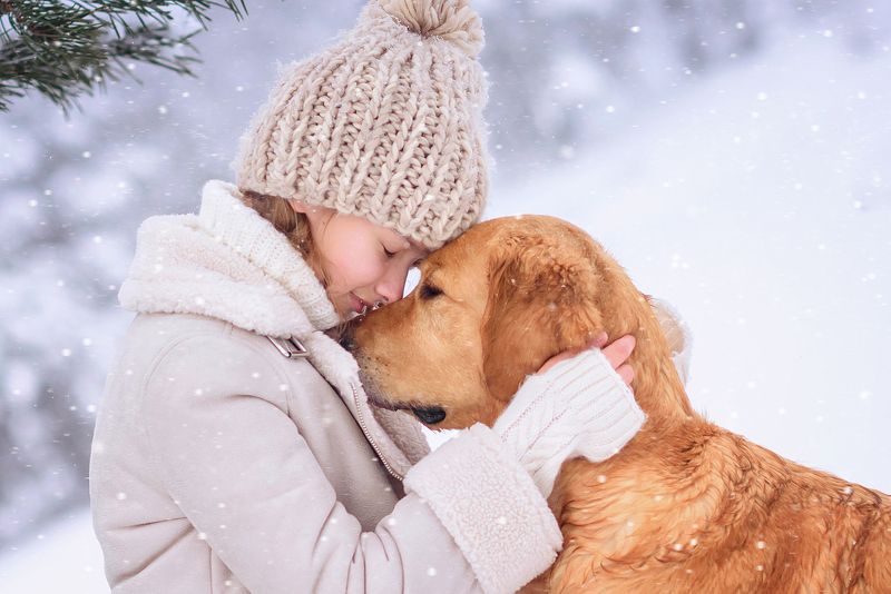 Лучший другphoto preview