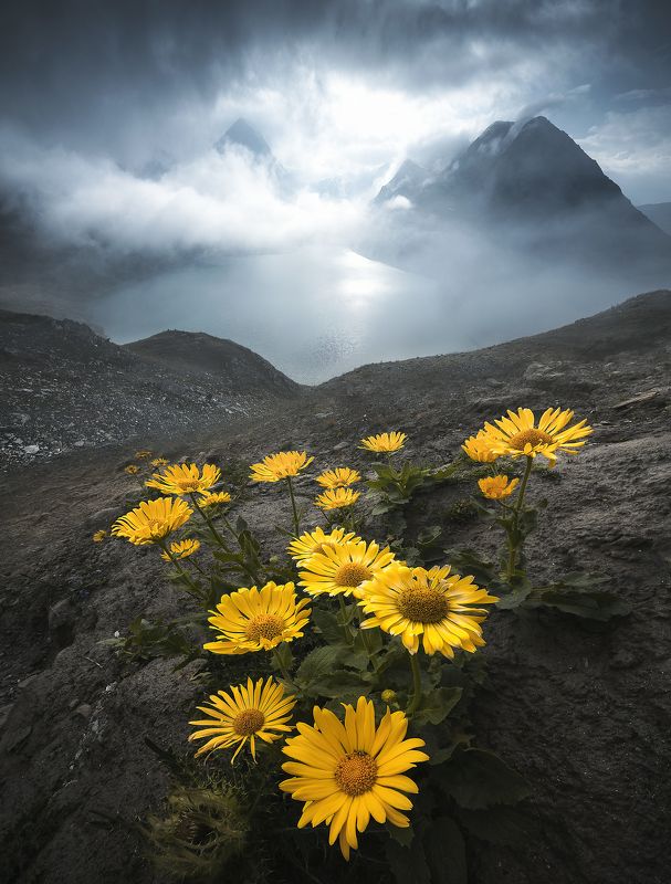 Changesphoto preview