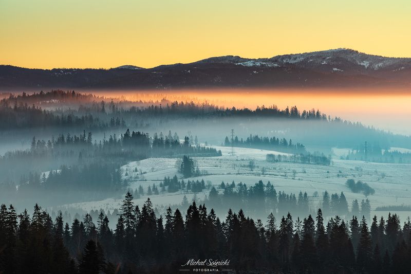 #tree #laser #fog #foggy #wood #nature #amazing #earth #pics #photo #best #poland Layers...photo preview