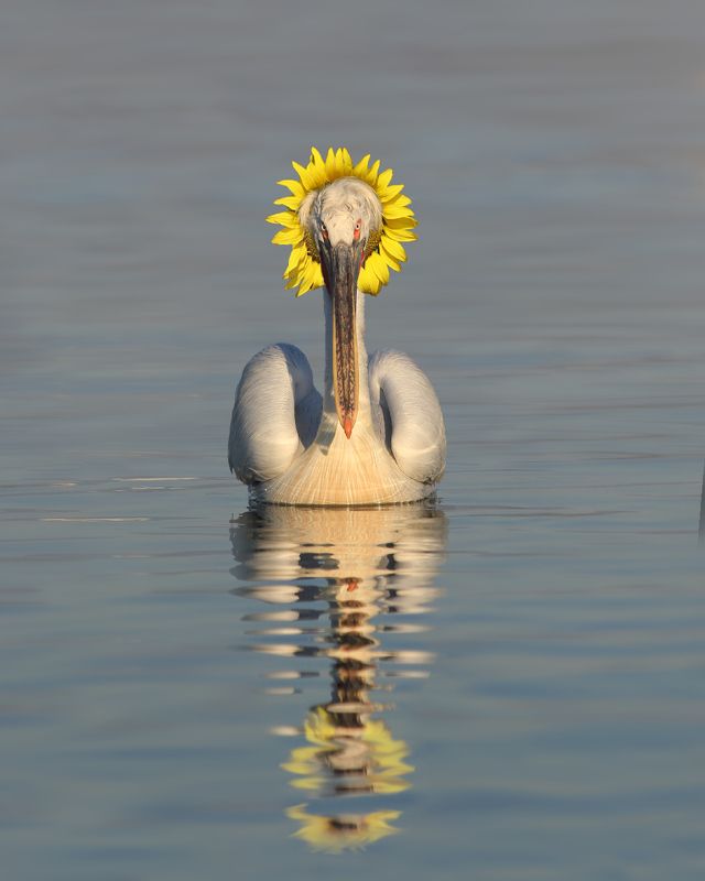 екстравагантний стильphoto preview