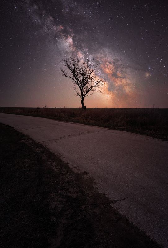 Witnessphoto preview