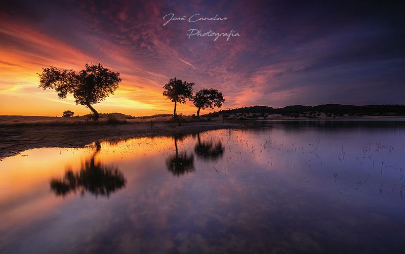 JoseCphotogragpy; 3 sistersphoto preview