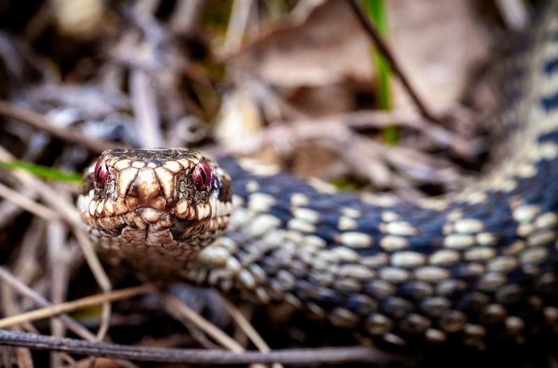 Встречаphoto preview