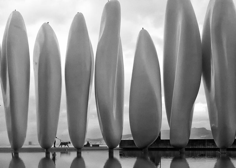 street,streetphotography, blackandwhite,izmir,evening, strollphoto preview