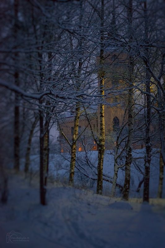 бип Замок БИП и берёзкиphoto preview