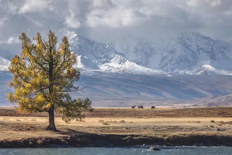 Осенняя зарисовкаphoto preview