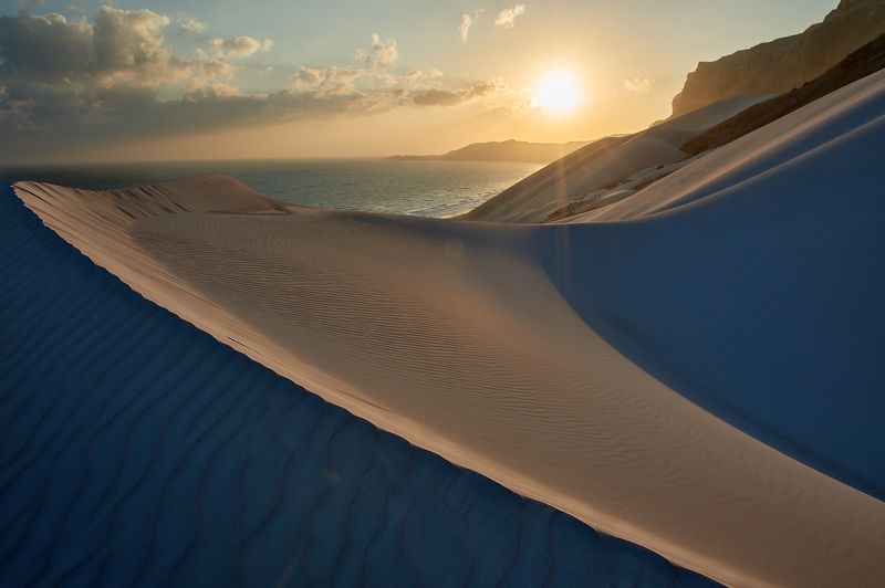 Socotra, Archer Picture of Socotra: Archer фото превью