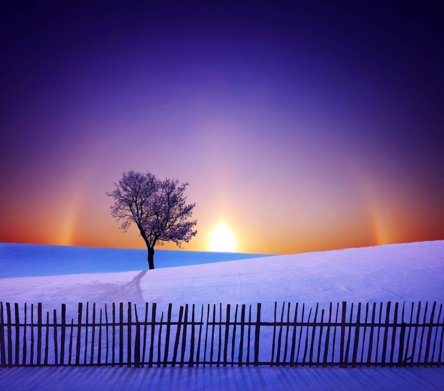 lithuania, sun, winter, snow, sun halo, Mindaugas Žarys