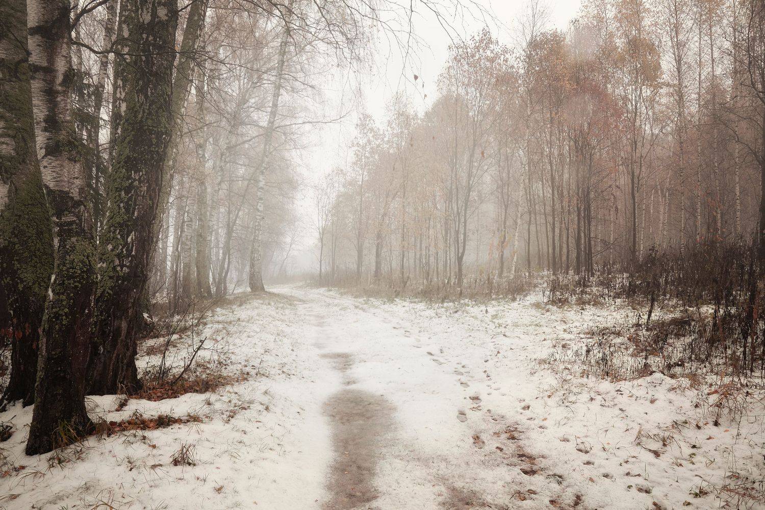 переходный сезон. Автор: Булатов Дмитрий , Булатов Дмитрий