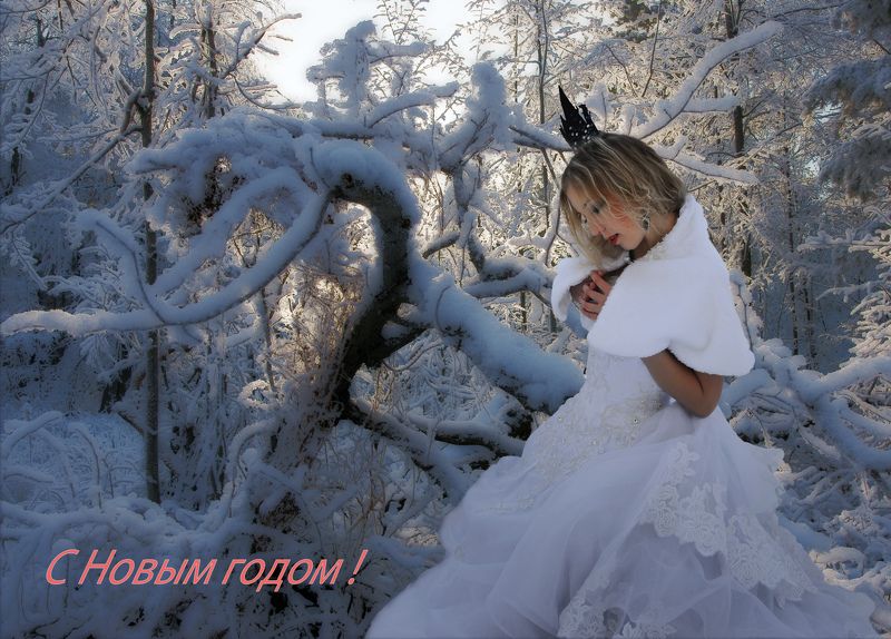Новогодняя сказка !photo preview