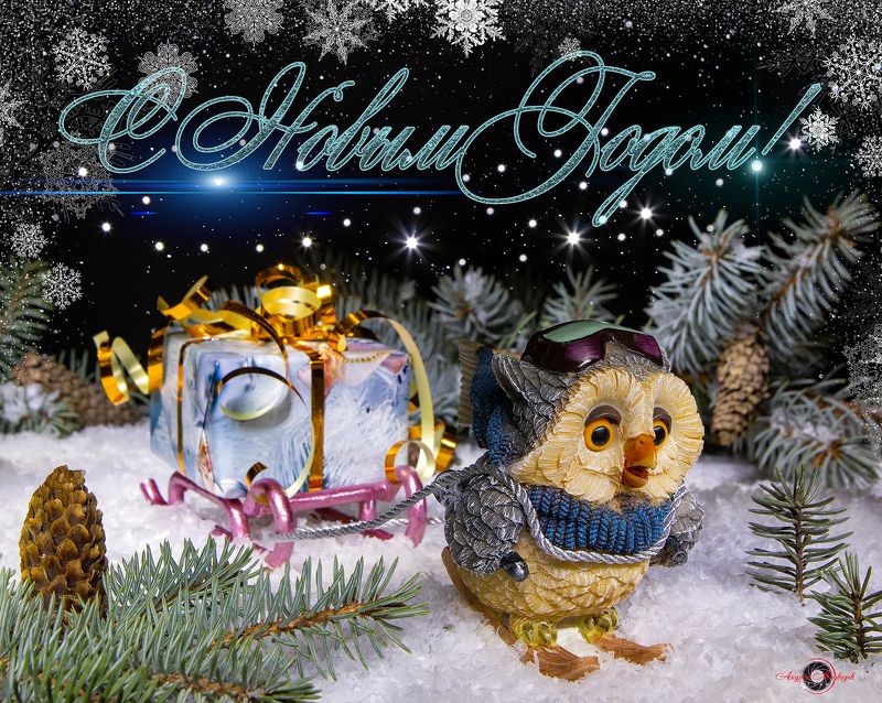 С Новым Годом, коллеги фотографы!!!photo preview