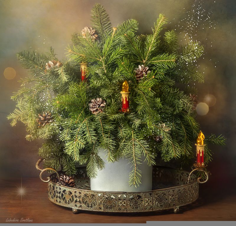 чвсы,праздник,ёлка,пихта новогодняя серияphoto preview