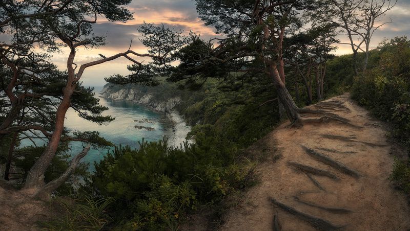 панорама, море, сосны ***photo preview