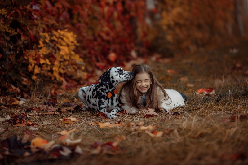 детское фото, далматинец, осень, дети, baby photo, dalmatian, autumn, children photo preview