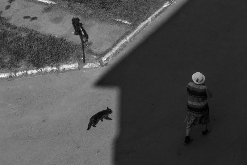 У каждого свой путь..photo preview