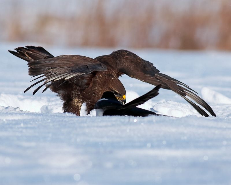 Это всё моё!photo preview