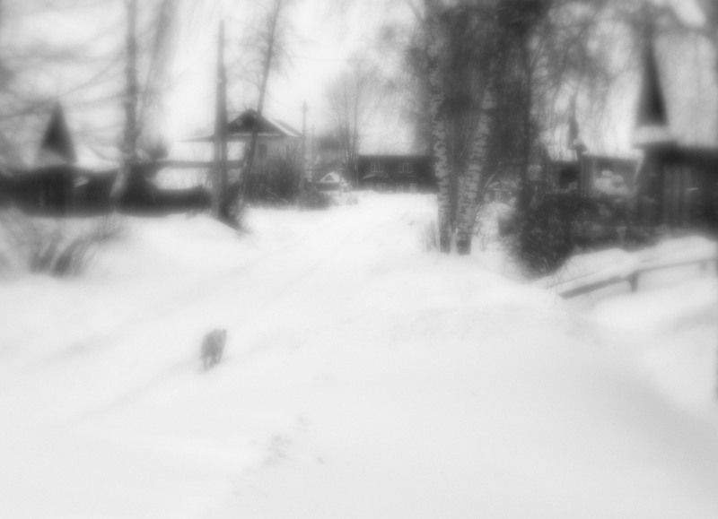 Зима выдалась снежнаяphoto preview