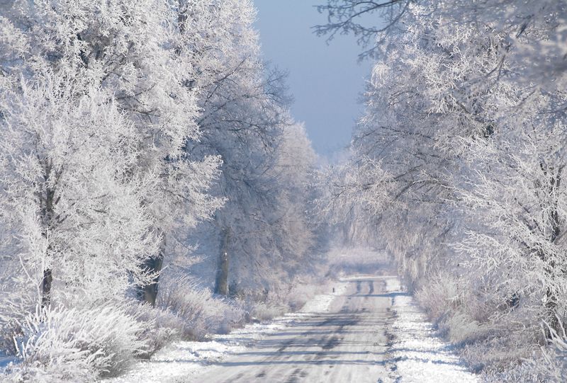 white road...photo preview