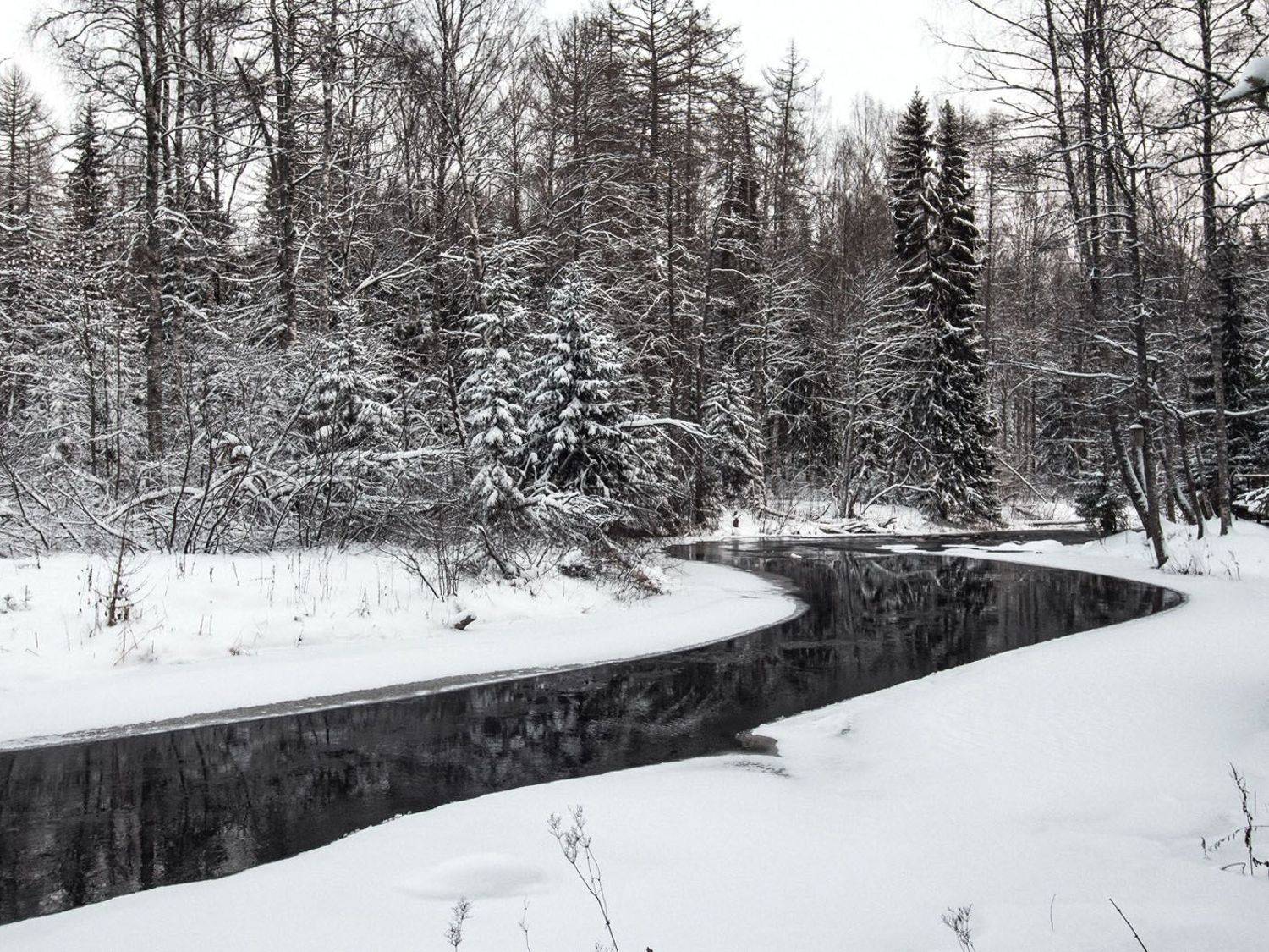 Автор: Алексей Герасимов , Алексей Герасимов