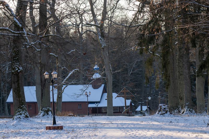 Krynoczka (Puszcza Białowieska)photo preview