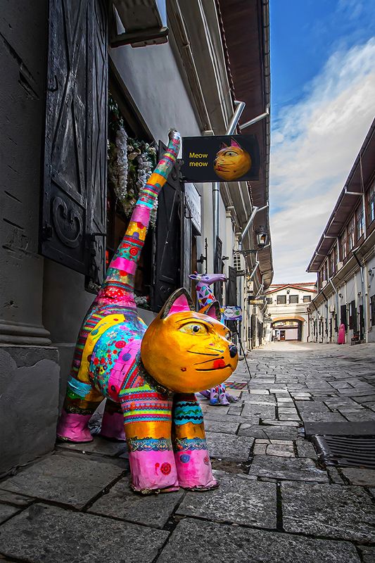 cityscape Bucharest, a beloved placephoto preview