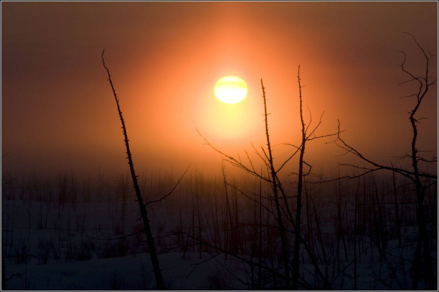 Восход солнца. Автор: Владимир , Владимир