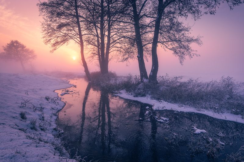 foggy afternoonphoto preview