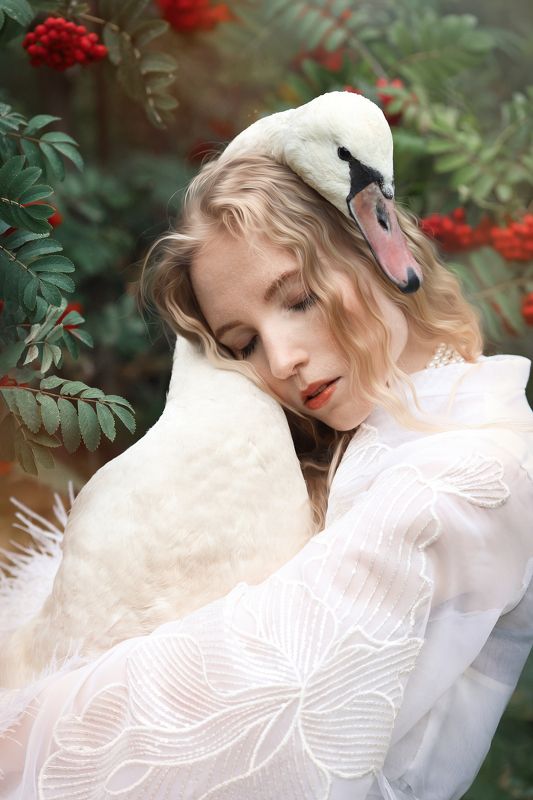 Белый черный лебедь Белый черный лебедьphoto preview