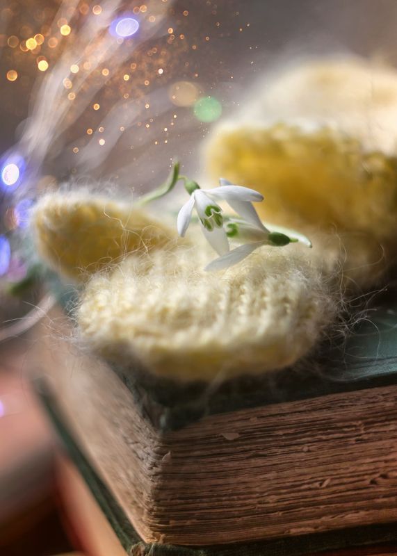 подснежники, новогодние истории, сказка двенадцать месяцев Двенадцать месяцев фото превью