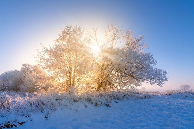 sunrise, winter 2021, landscape, nature, -21 degrees, frost, sun, sky, snow, river, Gwda The magic of golden glowphoto preview