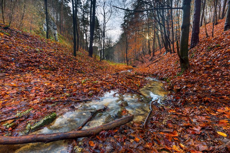 Dolina Bolechowicaphoto preview