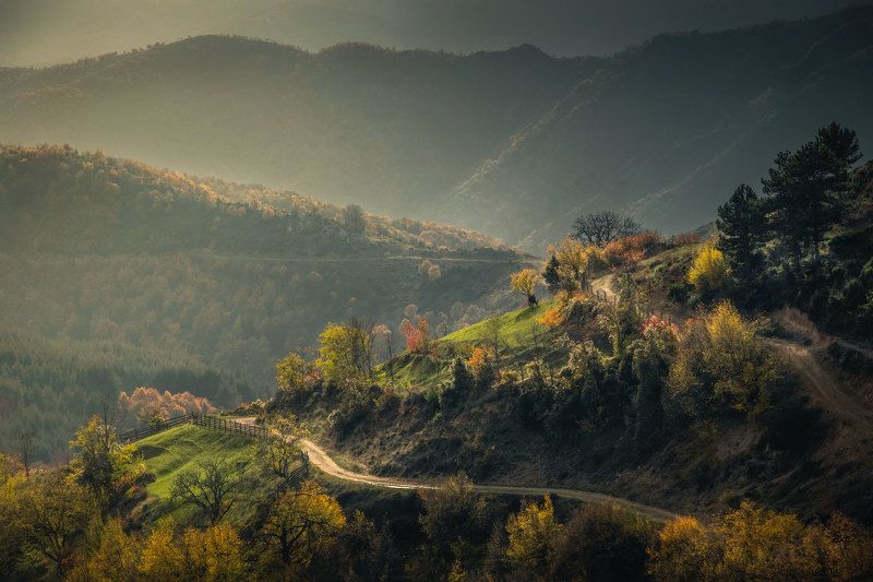 Ribnovophoto preview