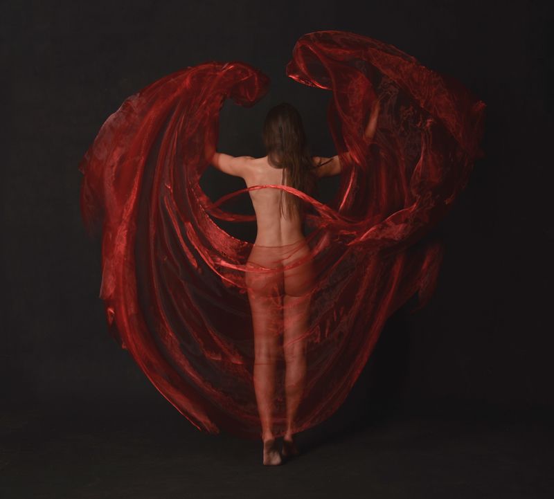 #wings #red #magic #noedit #artportrait #artconcept #conceptart #nikonua #nikonportrait #silk #bodyline #modelkharkiv #ukraineart Spread your wingsphoto preview