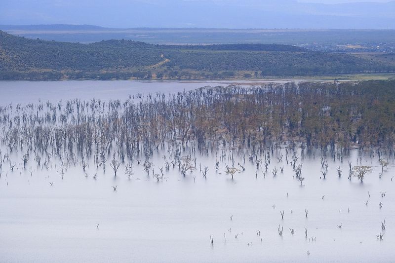 Nakuru lake фото превью