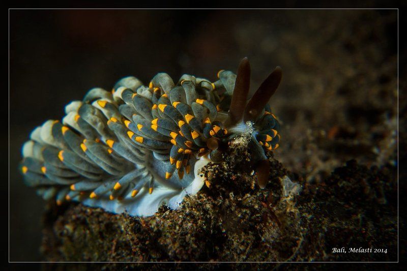 Параллельный мир фото превью