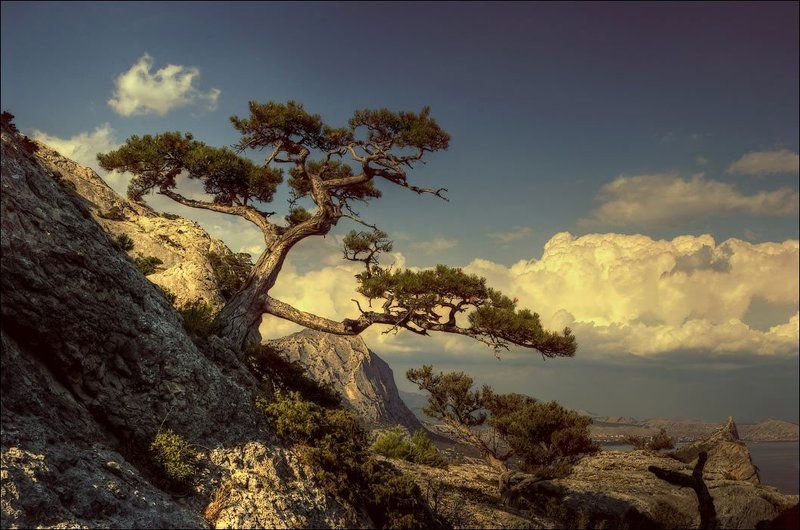 Новосветская зарисовкаphoto preview