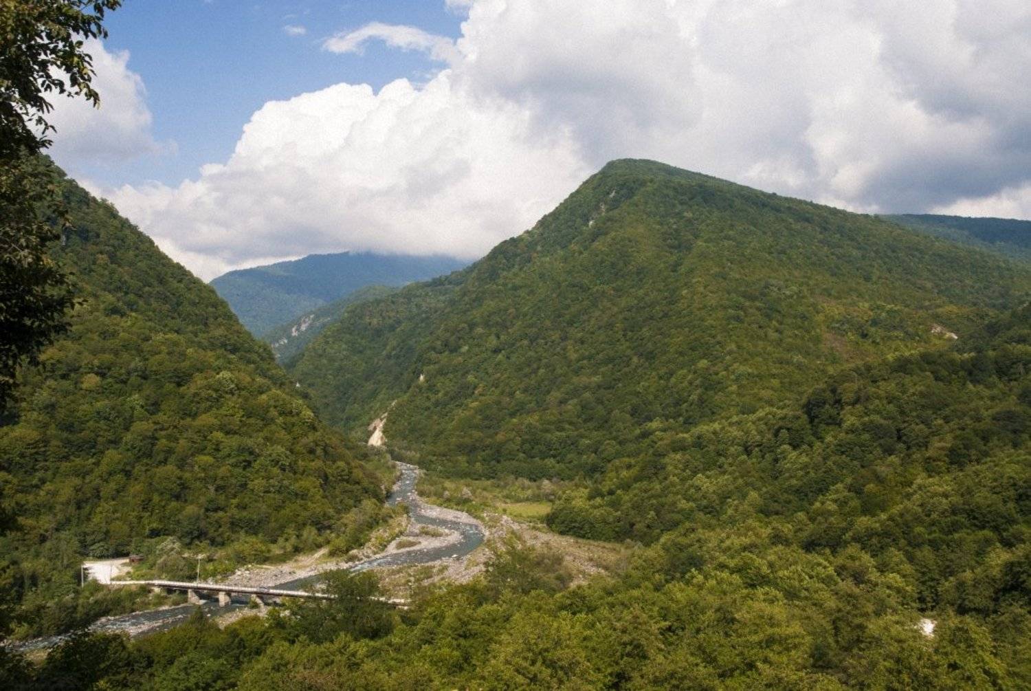 Коман. Автор: Sergey Tarba , Sergey Tarba