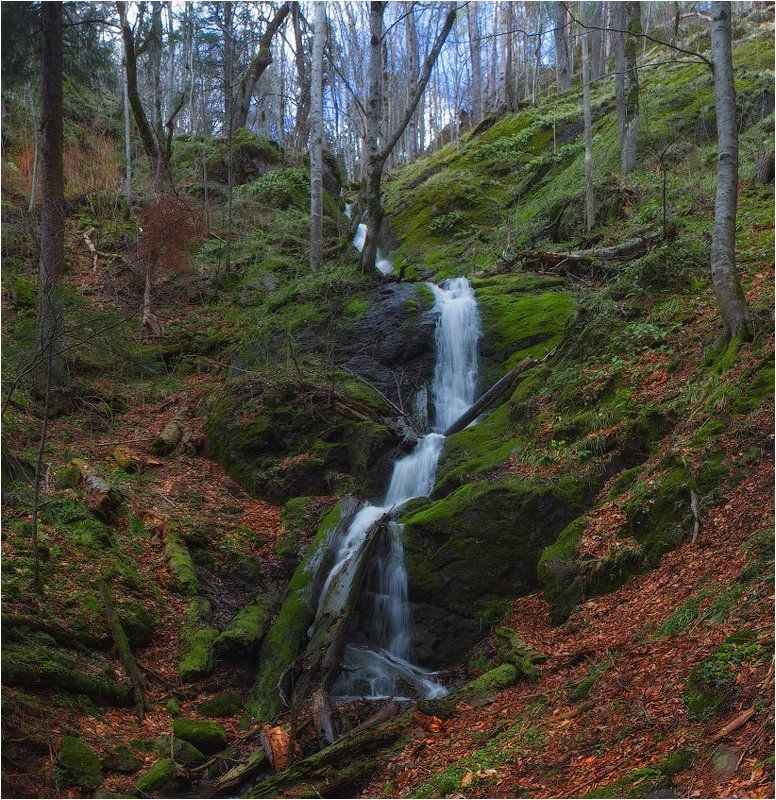 Весна, Гузерипль ***photo preview