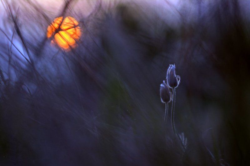Together forever. фото превью