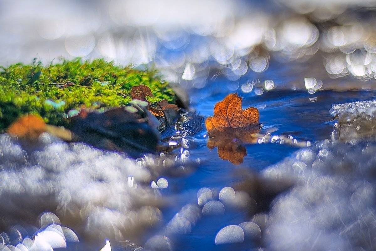 Кораблик. Автор: Алексей Горохов , Алексей Горохов