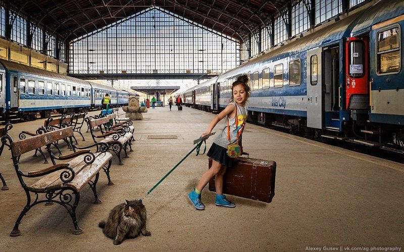 cat, city, girl, train, travel Catch your trainphoto preview