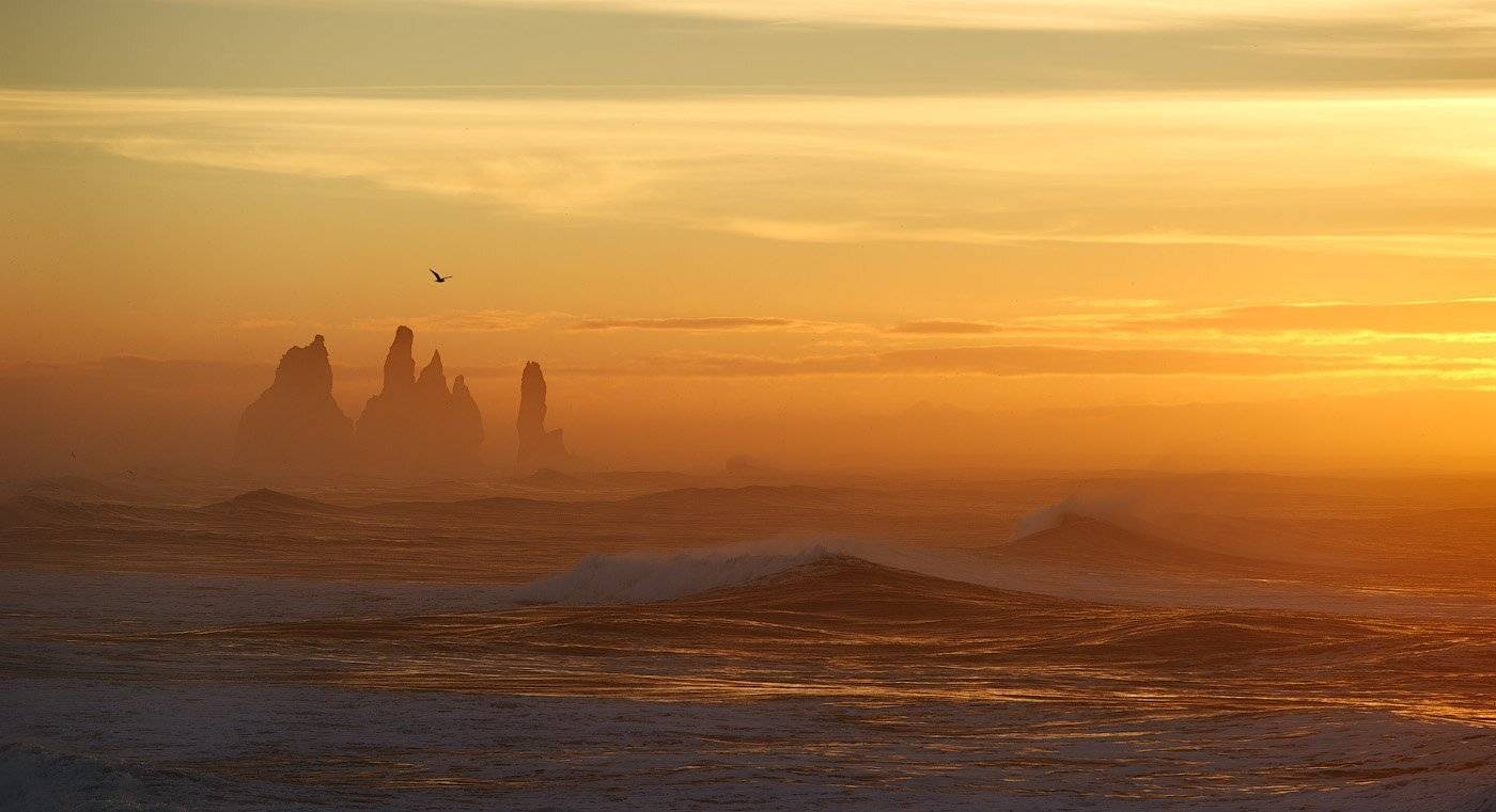, Андрей Ведерников