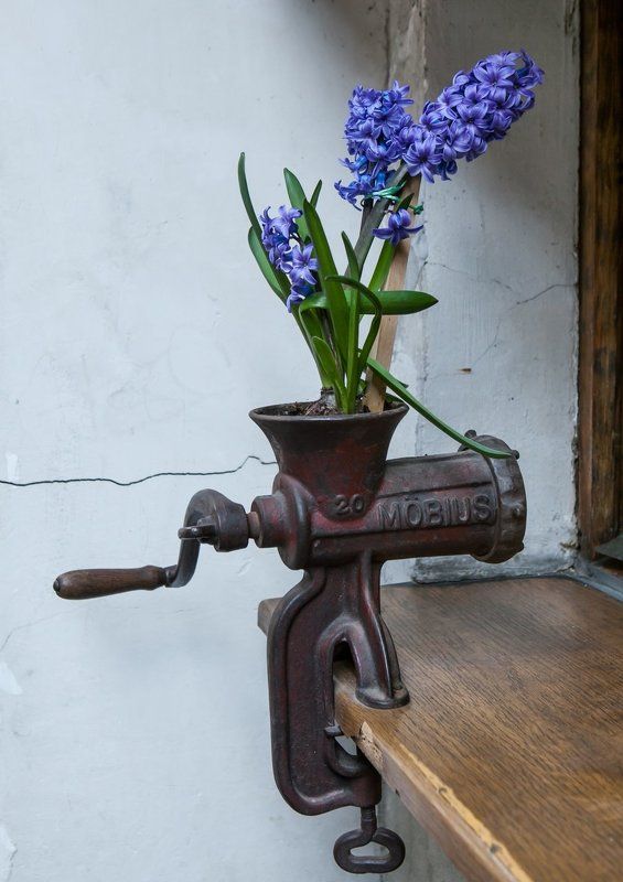 Bесна....photo preview