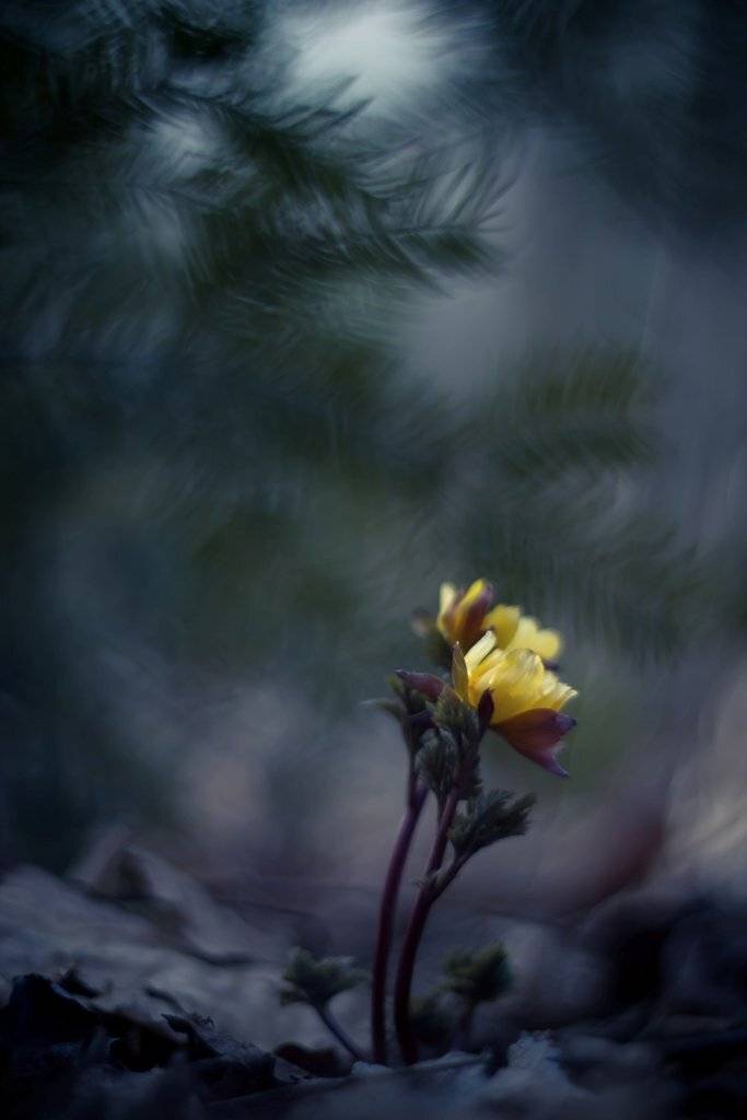 Вместе не так страшно.... Автор: Germanic , Germanic