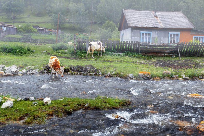 Утро в деревнеphoto preview