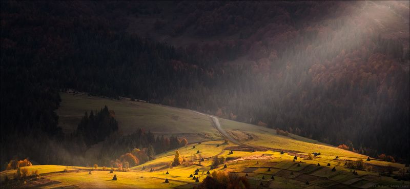 / Поймав последние лучи ...... /photo preview