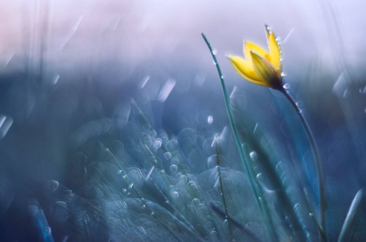 , Татьяна Аверина