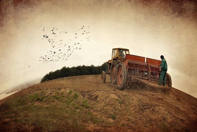 Pluming timephoto preview